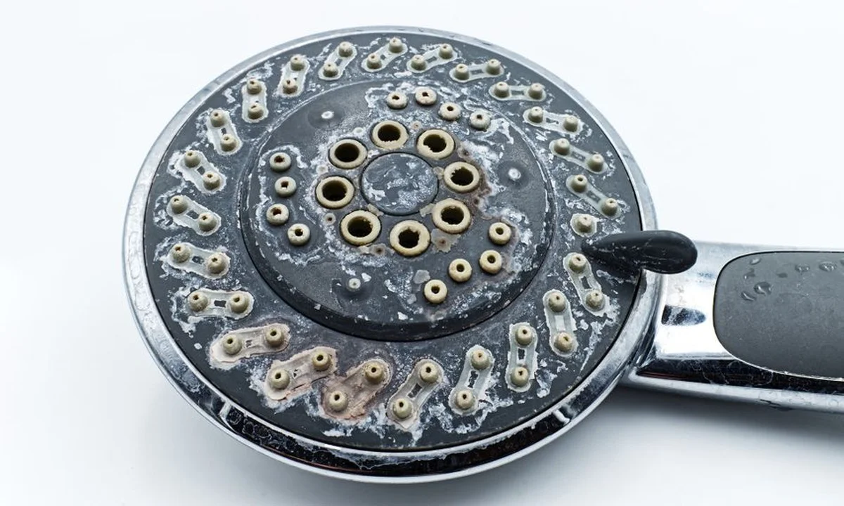 Zoutstrooier voor je douche: het trucje tegen kalkaanslag dat niemand kent