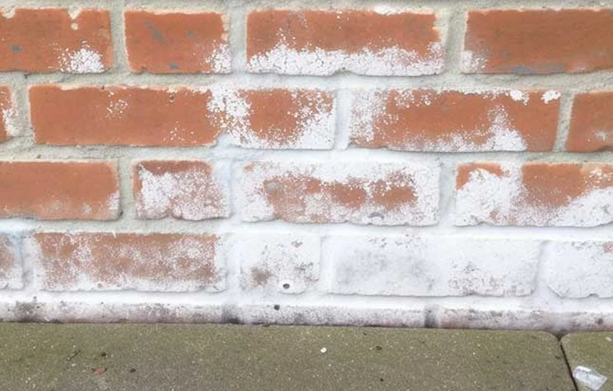 Zoutkorrels achter je radiator: waarom energiebedrijven dit willen verbergen - image 2