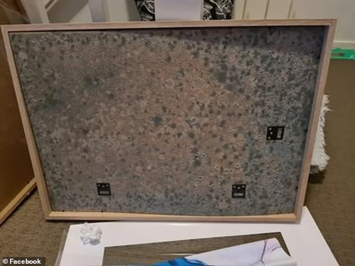 Tandpasta op je spiegellijst: hoe je vochtproblemen permanent oplost - image 2