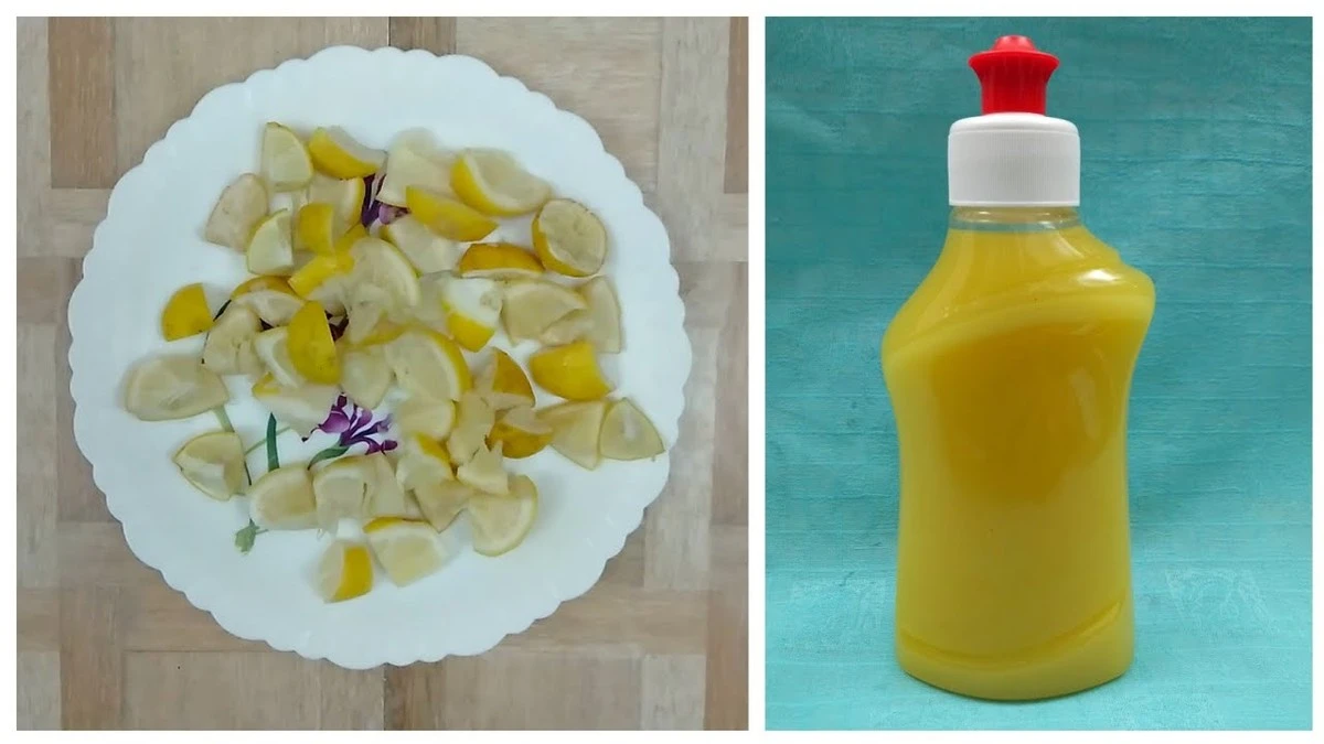 Citroenschil in de afwasmachine: waarom professionals dit altijd doen