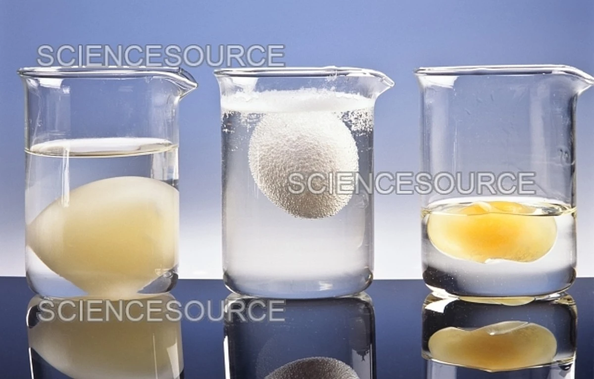 Waarom chef-koks altijd azijn in kokend water doen voor eieren - image 2