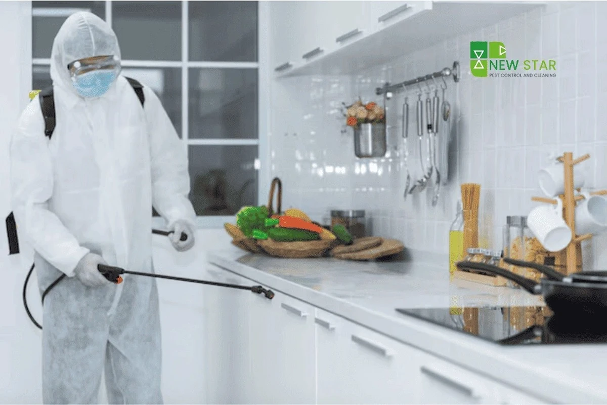 Laurierblad in je bloem: het eeuwenoude geheim tegen voedselmoffen - image 2