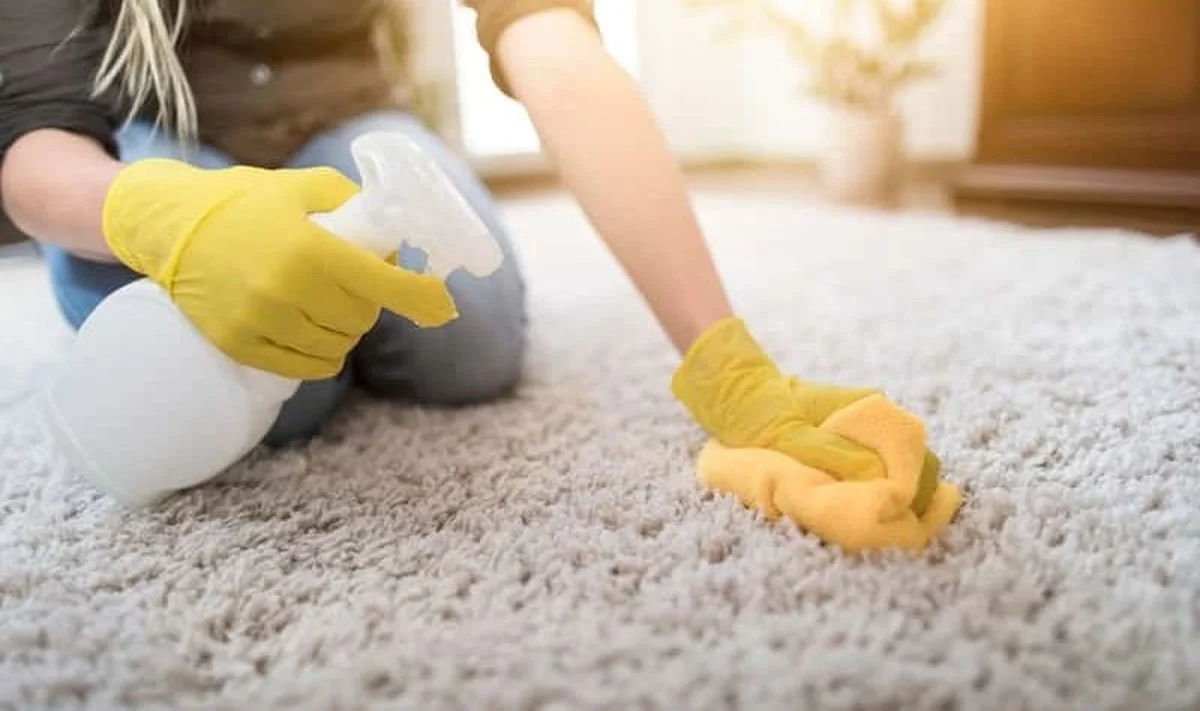 Zout op een vers koffievlek: het trucje dat tapijtwinkels kennen - image 2