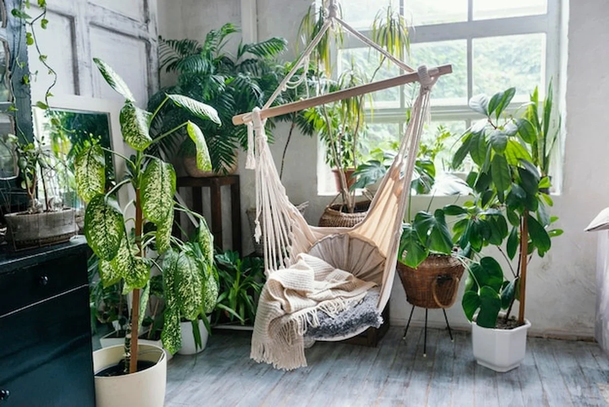 Deze feng shui-planten veranderen je huissfeer voorgoed - image 2
