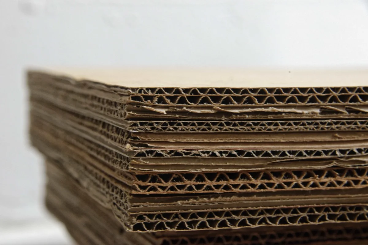 Kartonnen tube van toiletpapier als isolatie: het geheim van Scandinavische huizen