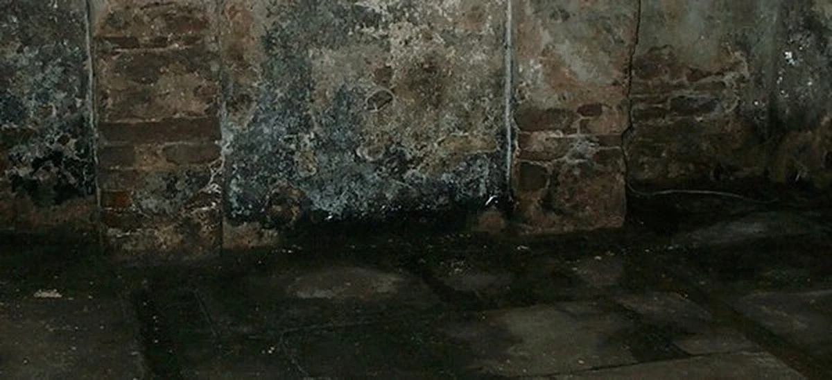 Koffiegruis tegen natte kelders: waarom bouwvakkers dit altijd gebruiken - image 1