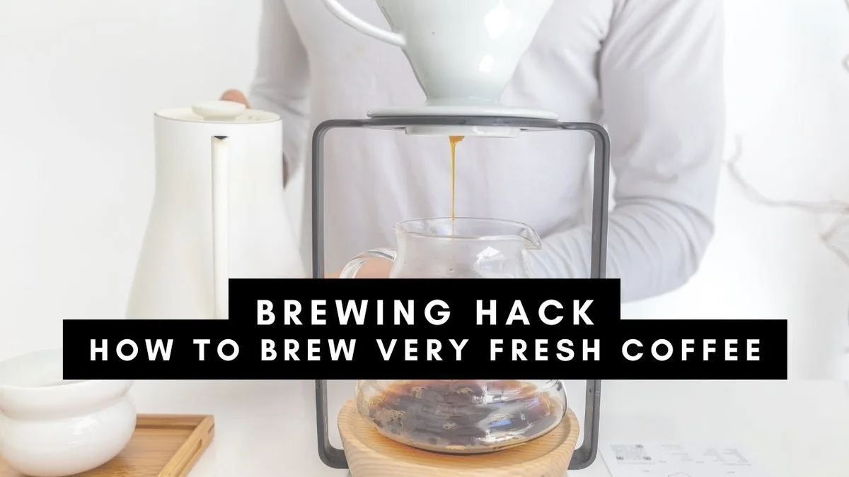 Zout in je koffiefilter: waarom je koffie voortaan beter smaakt - image 1