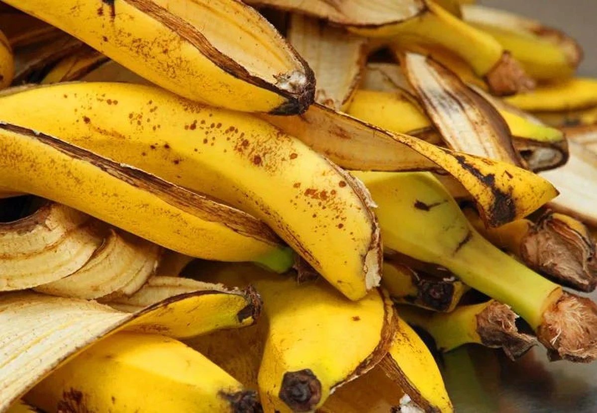 Bananenschillen tegen aphidsvrije planten: het bewezen huismiddel