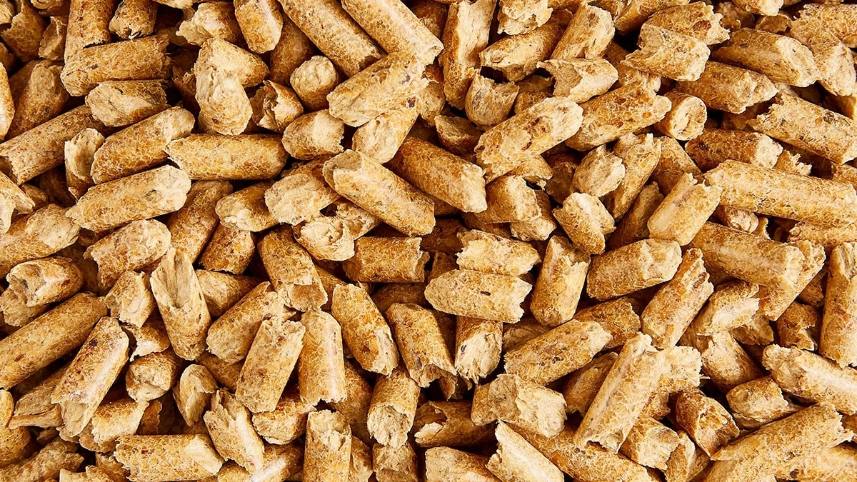 Zand in je kattenbak vervangen door dit? Je huis ruikt voorgoed beter