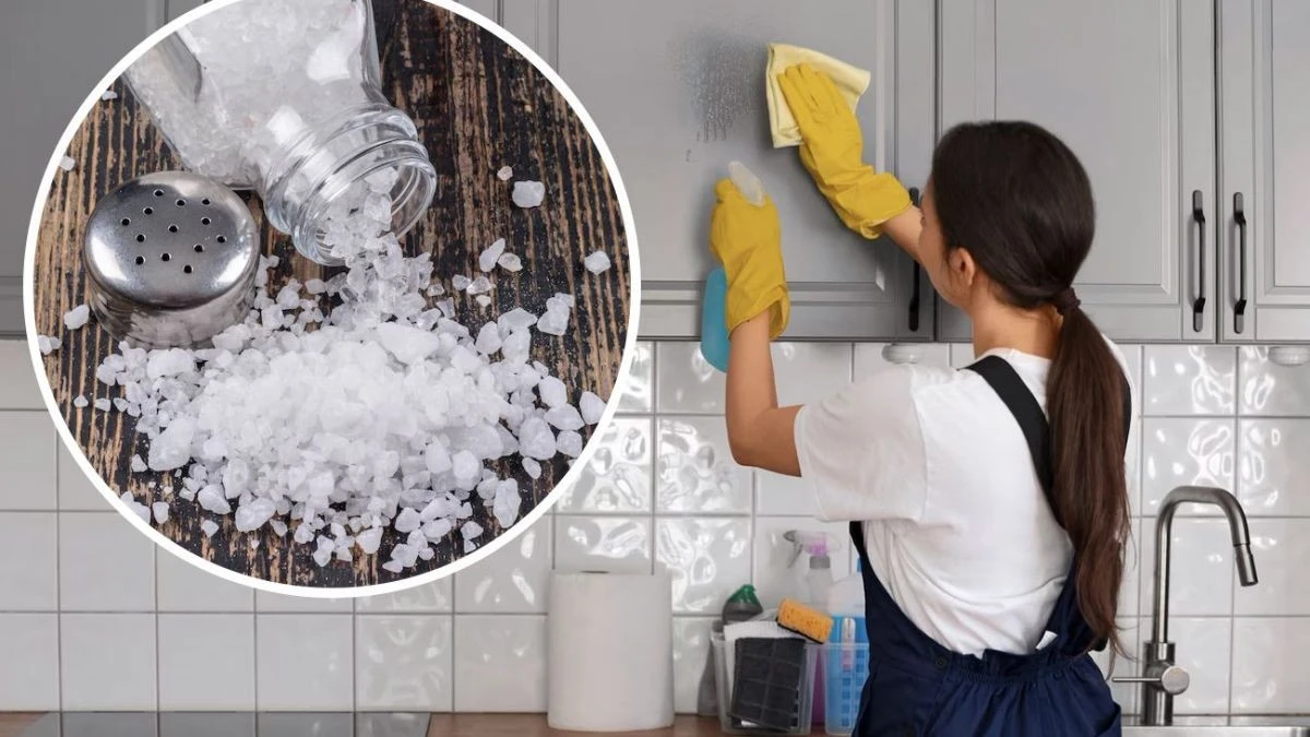 Zout op het fornuis na het koken: waarom dit schoonmaken 10 minuten scheelt - image 1