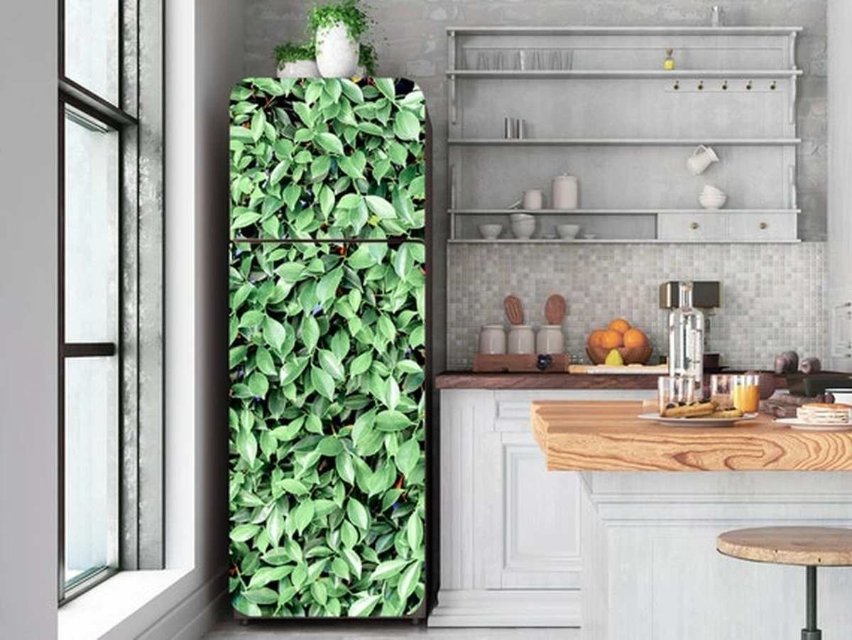 Een laurierblad in je bloem: het 100 jaar oude trucje tegen ongedierte - image 2