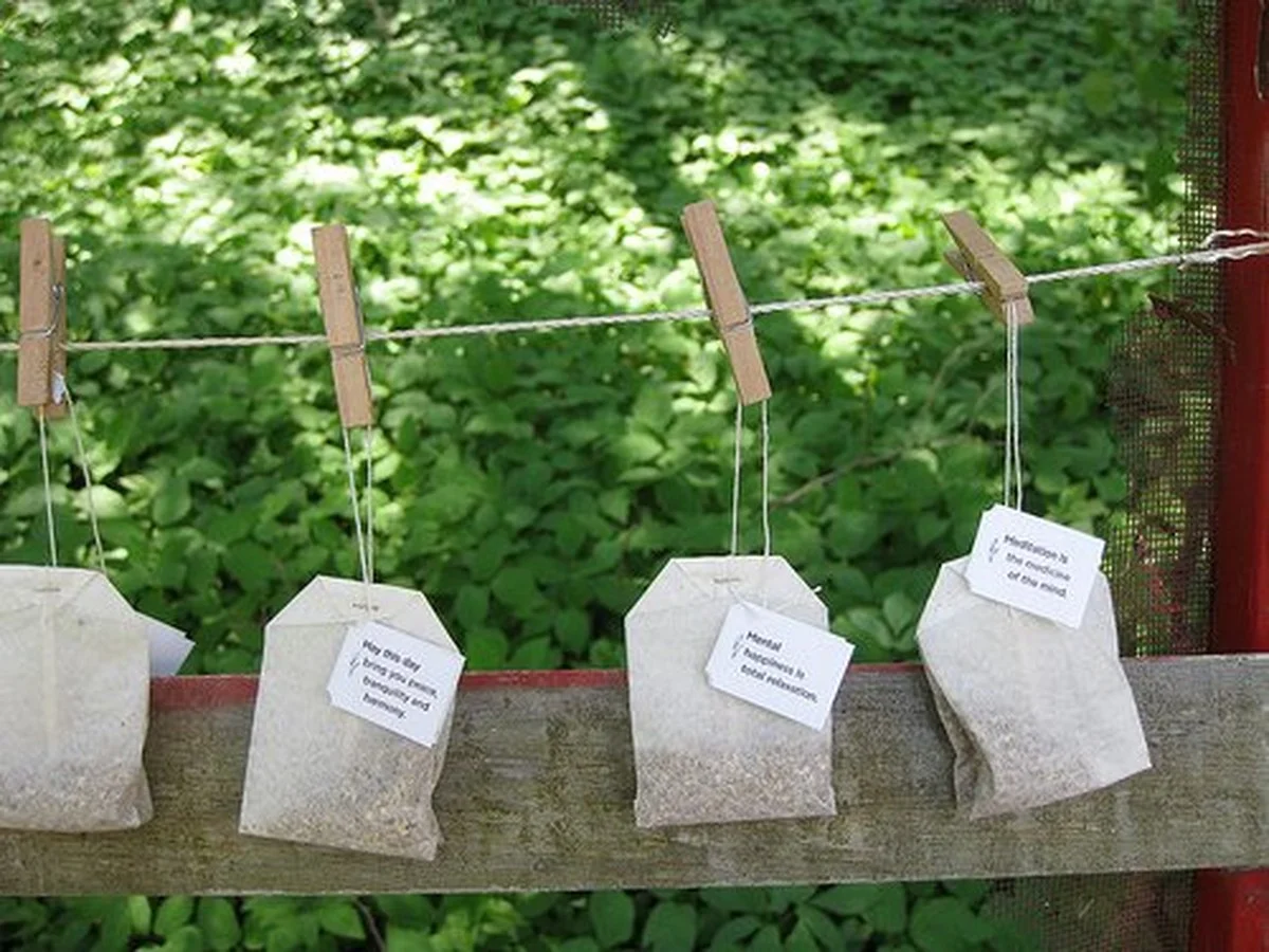 Een theezakje in je stofzuiger: het goedkope geheim tegen onaangename geuren - image 1