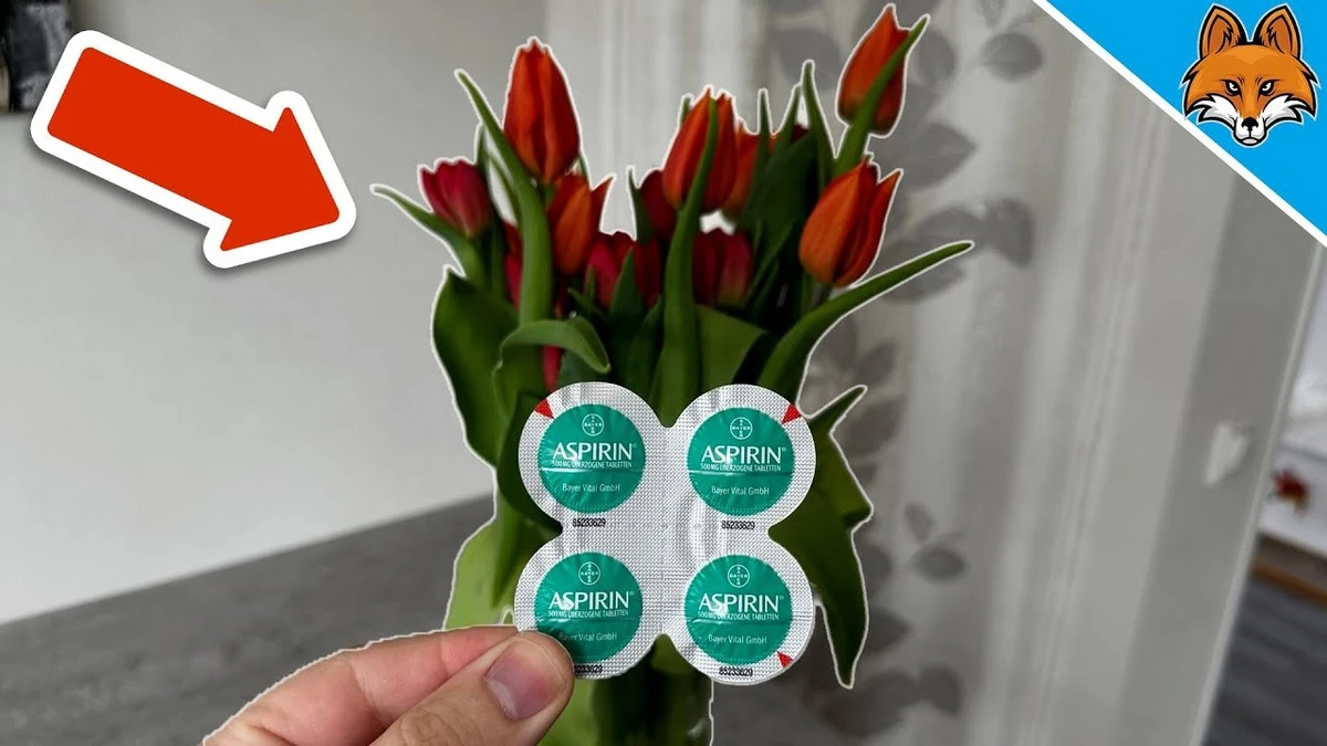 Aspirine in je bloemenvaas: waarom bloemen 3 weken langer leven