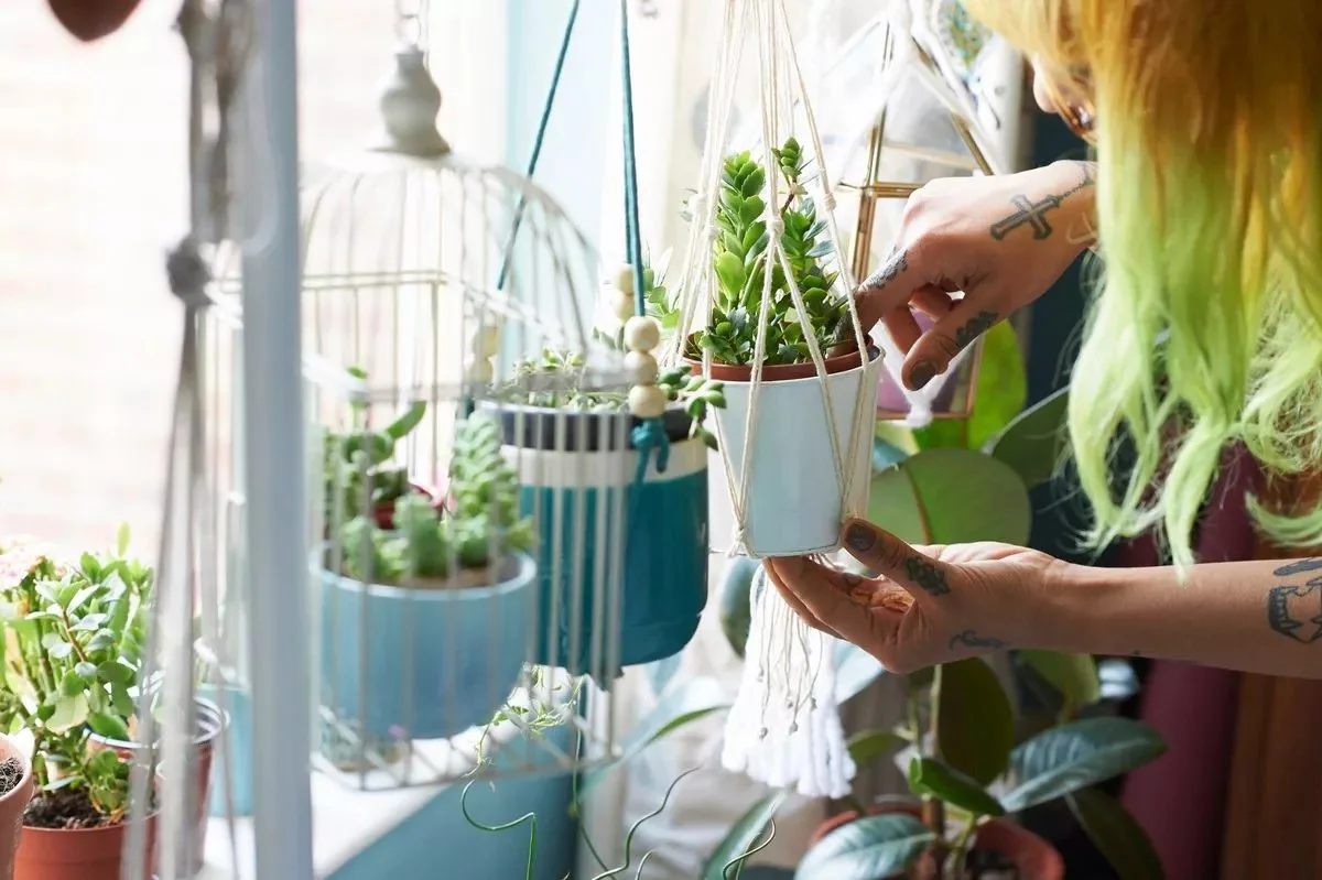 Een potlood in je plant: de simpele oplossing tegen modder - image 2