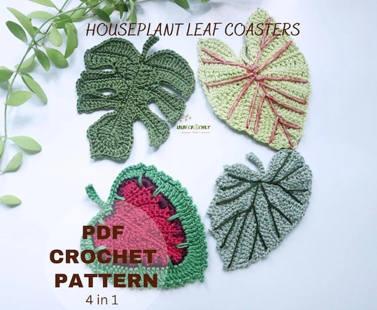 Een bierviltje onder je plant: het trucje van professionele tuinders - image 1