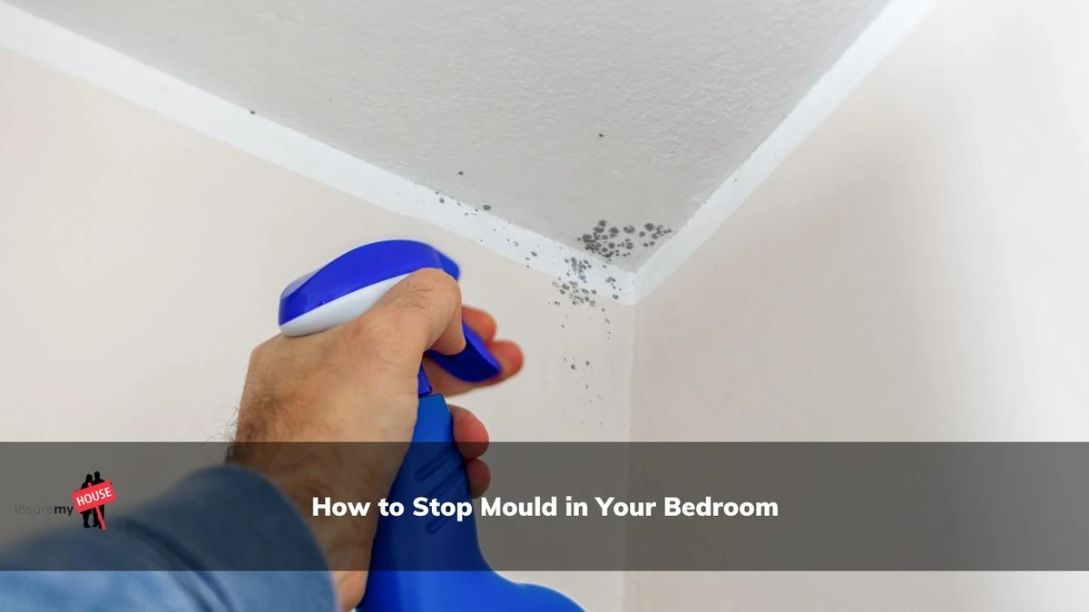 Droogkost in je slaapkamer: het geheim tegen vochtplekken - image 1