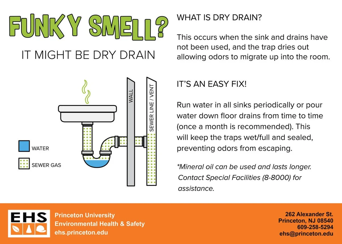 Een theezakje in je afvoer: het geheim tegen vieze geuren die terugkomen - image 1