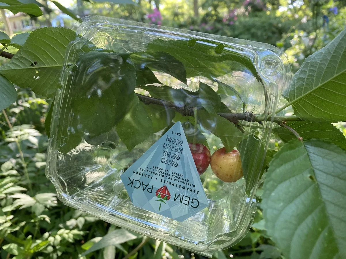 Bijtend in appels stoppen: dit werkt beter dan pesticidensprays - image 2