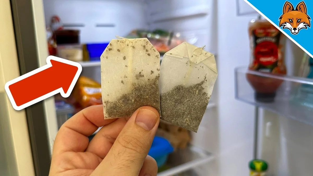 Theezakjes in je koelkast: waarom elke huisvrouw dit doet