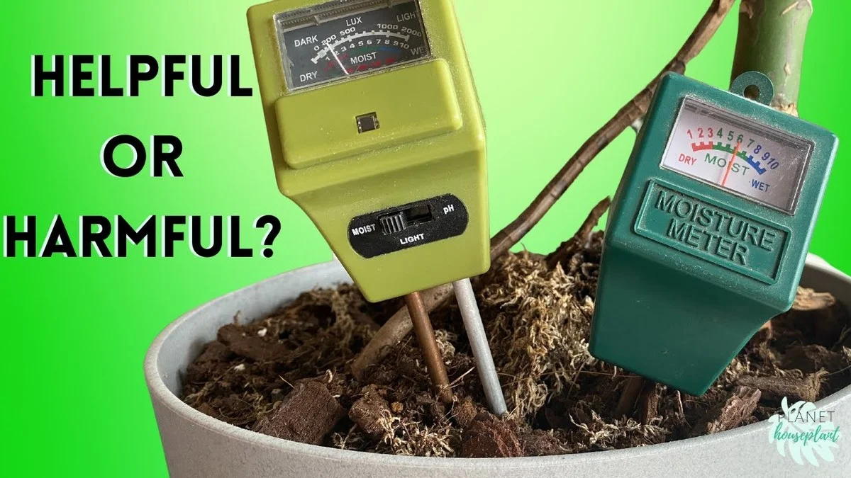 Een potlood in je plantenpot: waarom tuiniers dit trucje altijd gebruiken