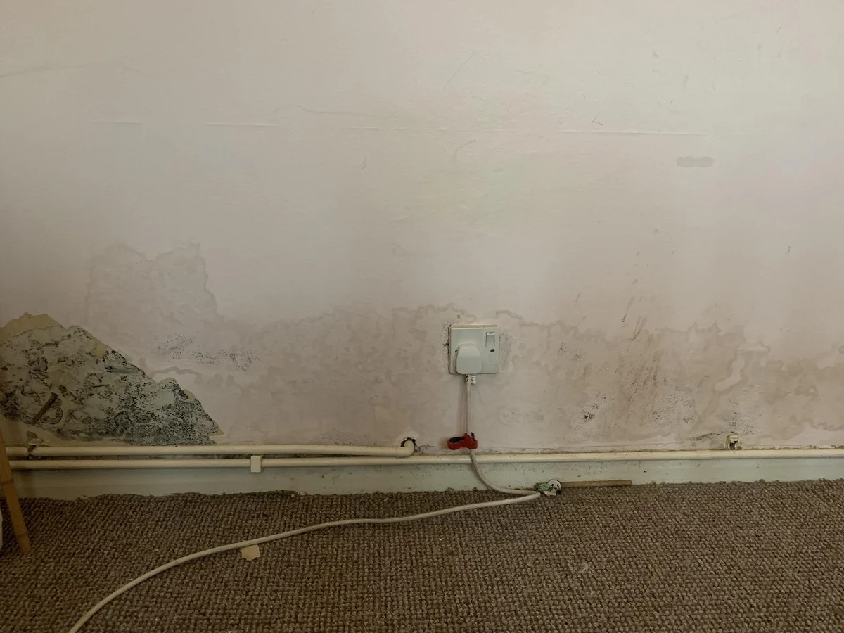 Zoutkristallen achter je radiator: waarom dit je verwarmingsrekening met 30% verlaagt - image 2