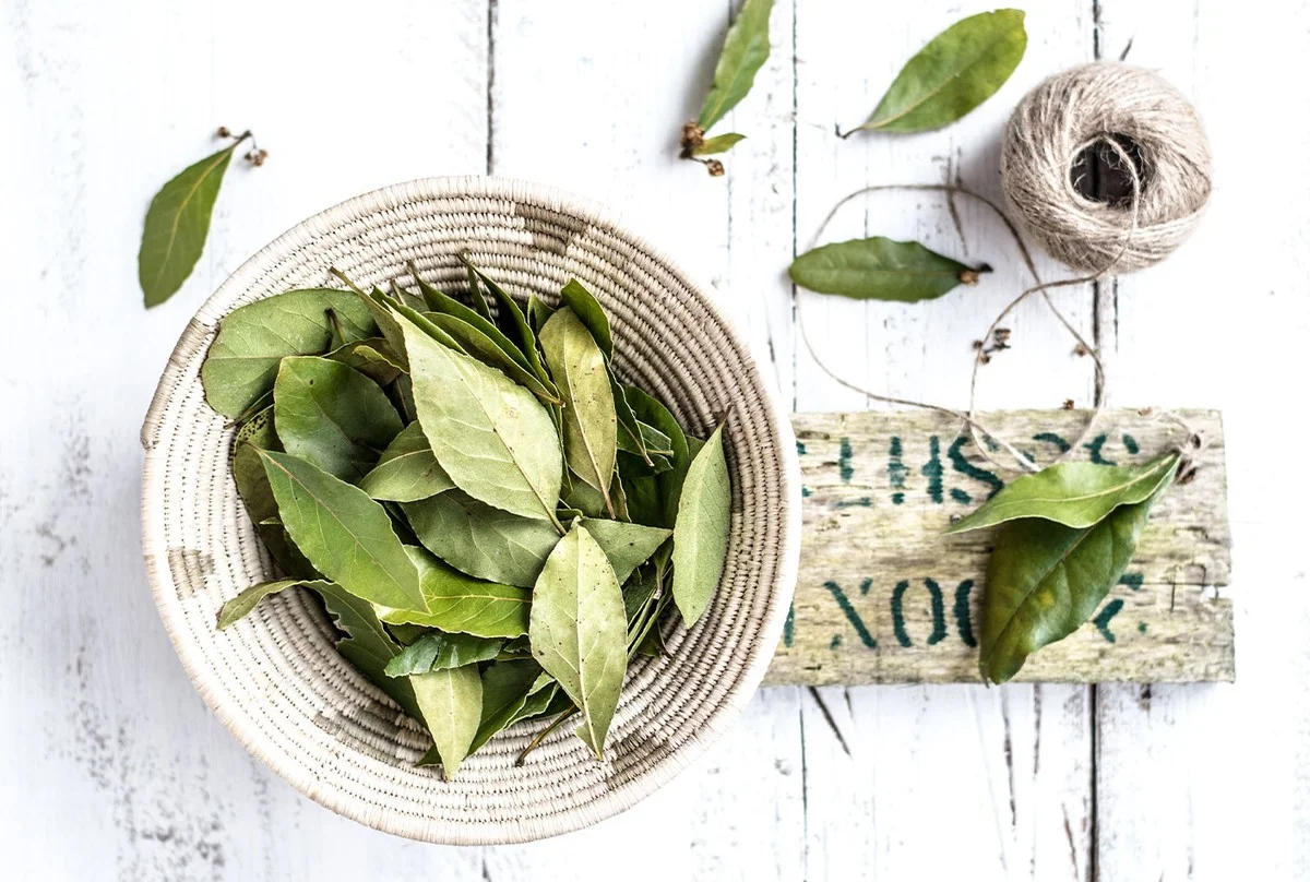 Een laurierblad in je bloem: het 100 jaar oude geheim tegen ongedierte - image 2
