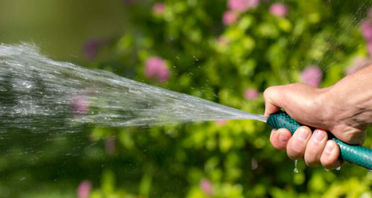 Tandenstokers in je bloempotten? Dit lost je grootste probleem op - image 2