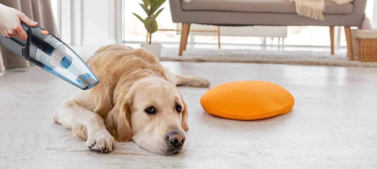 Een haarlok in je stofzuiger: waarom dit je motor 5 jaar langer laat meegaan