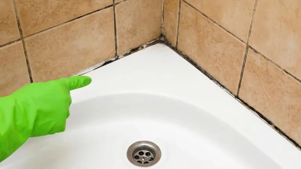 Oude tandenborstel en zout: het wonder-duo tegen hardnekkige tegelvoegen - image 1