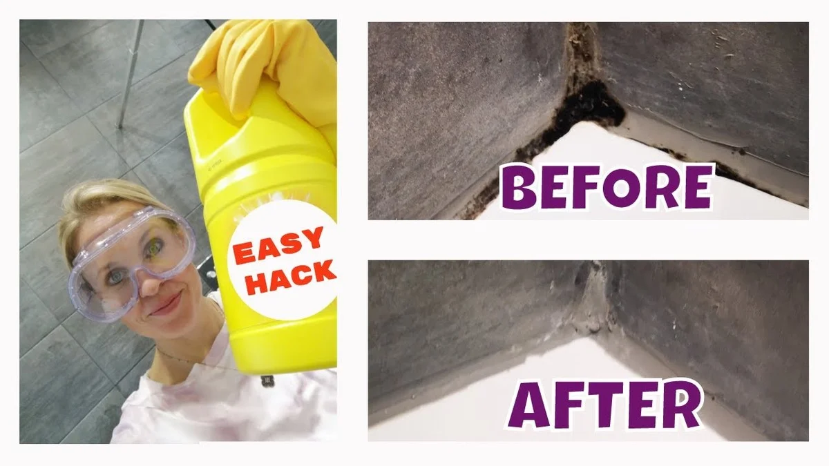 Oude tandenborstel tegen schimmel? Hoe huisartsen dit trucje gebruiken - image 2