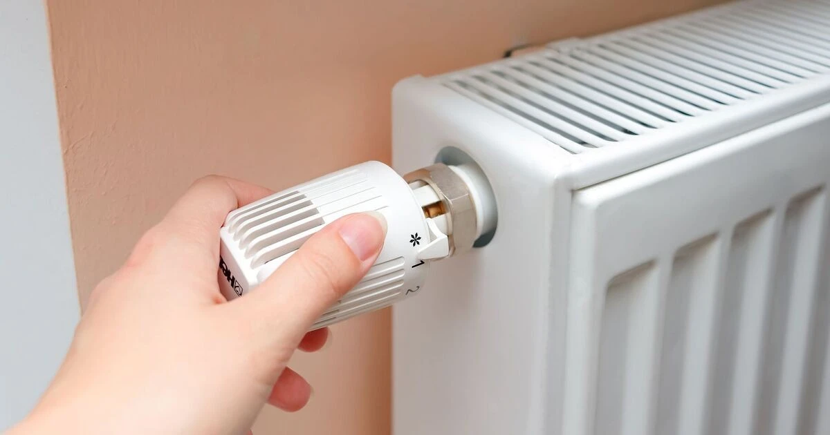 Zoutkorrels achter je radiator: waarom dit je gasrekening met 35% verlaagt - image 1