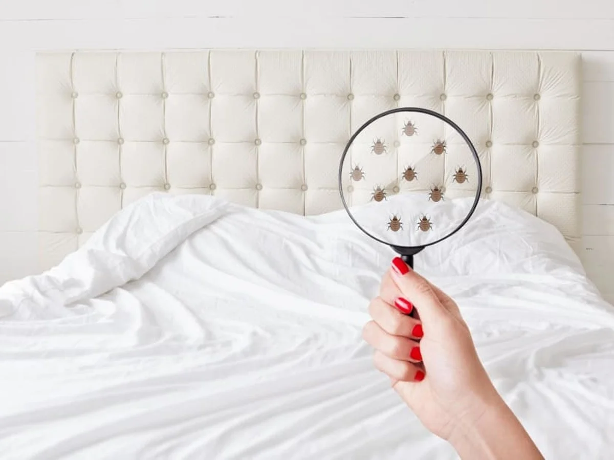 Zout op je matras strooien: het geheim tegen stofmijten die je niet ziet - image 1