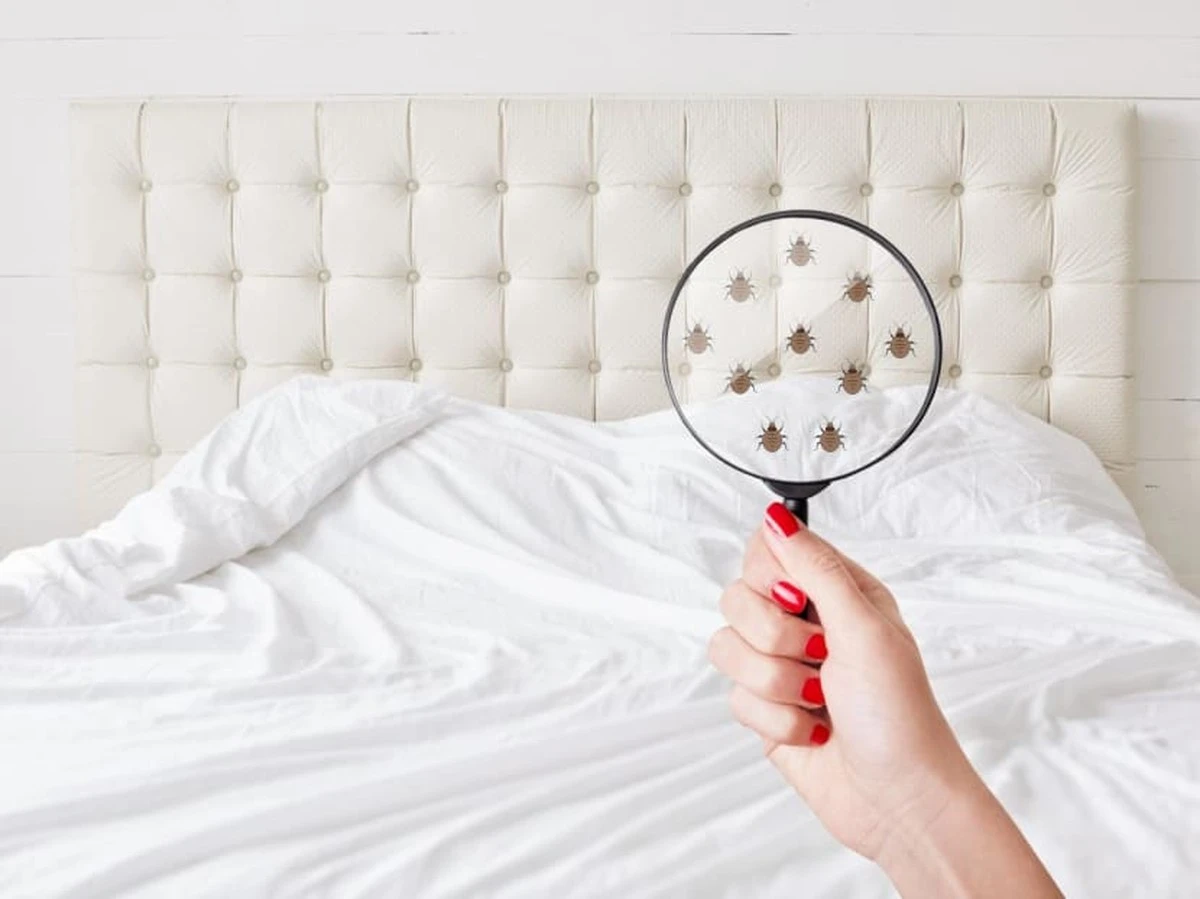 Bakingsoda op je matras: de 24-uurmethode tegen stofmijten - image 1