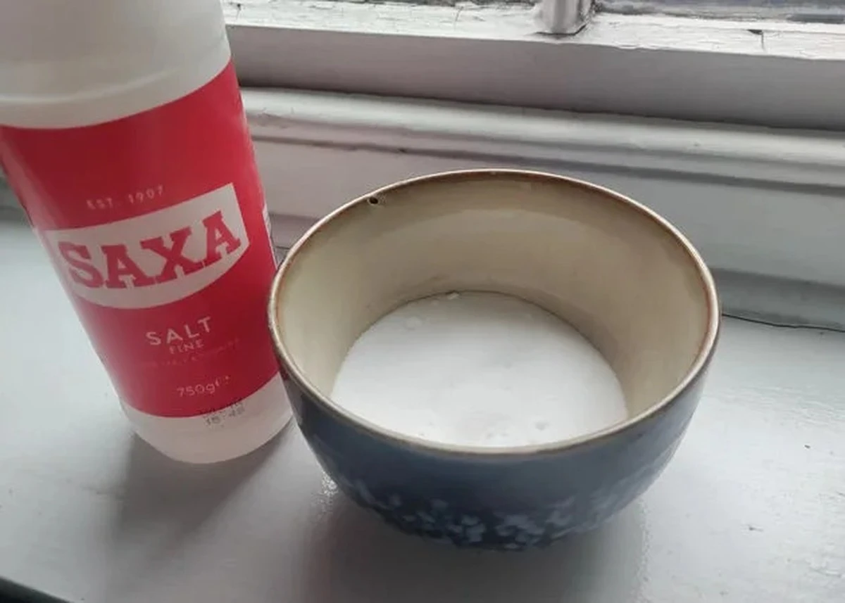 Zoutkristallen op je vensterbankruit: het natuurlijke ontijzingsmiddel dat werkt - image 2