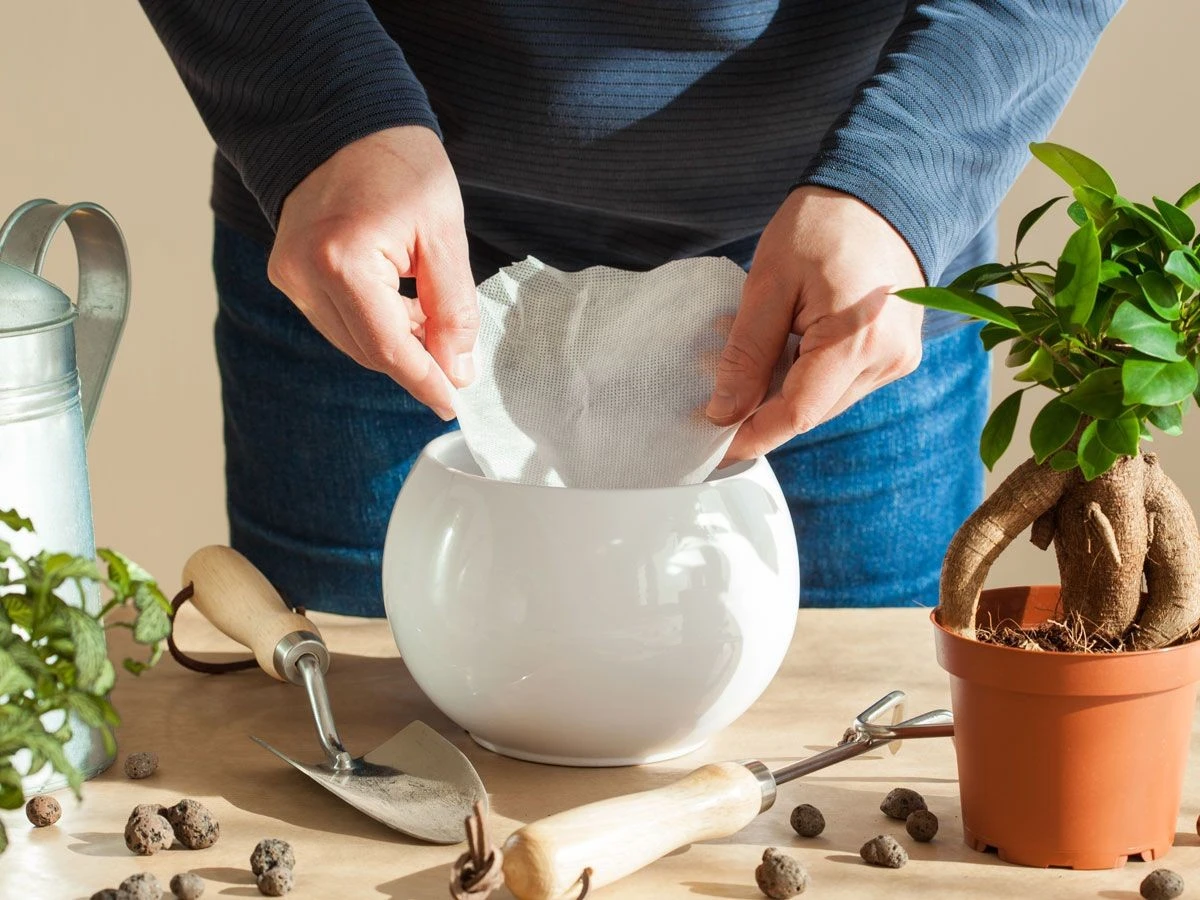 Een koffiefilter in je bloempot? Waarom tuinmannen dit altijd doen
