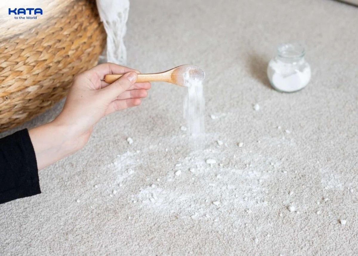 Zout in je stofzuiger: waarom Nederlandse huisvrouwen dit elke maand doen - image 2