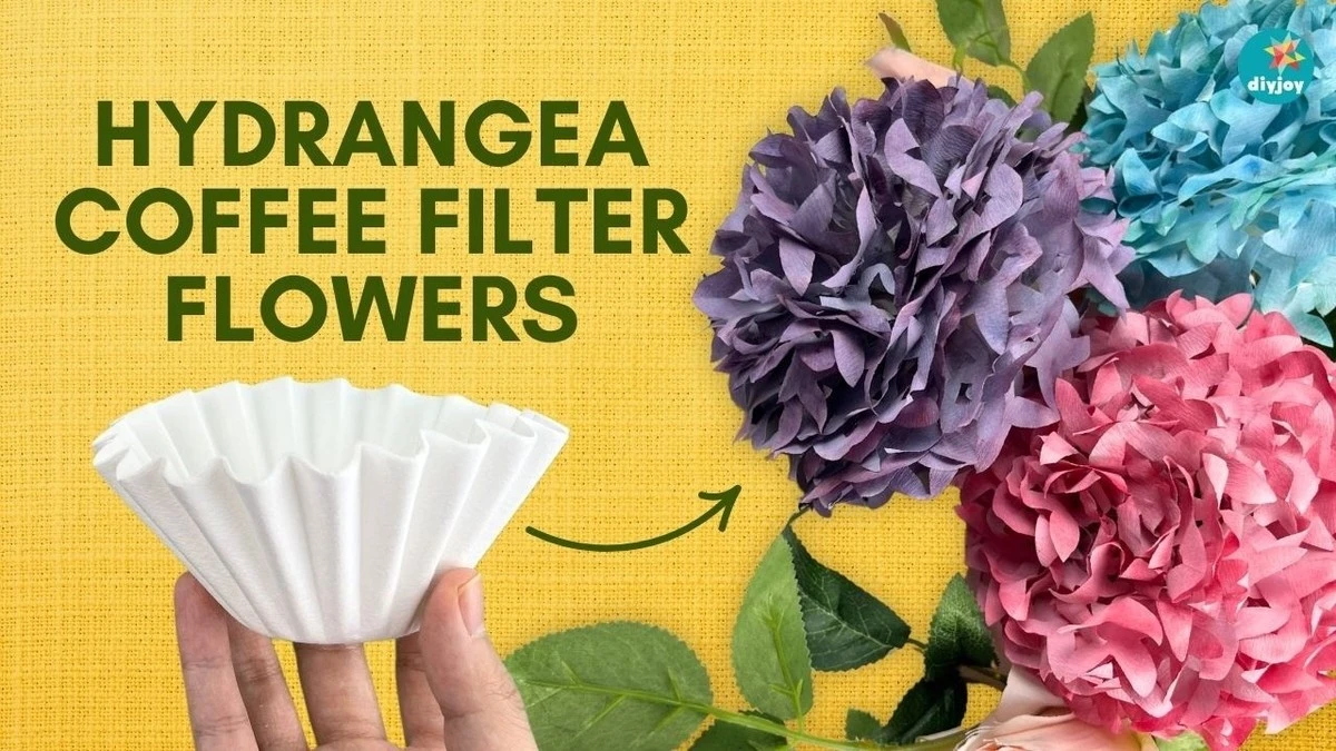 Koffiefilter in je plant: het watergenie dat niemand kent