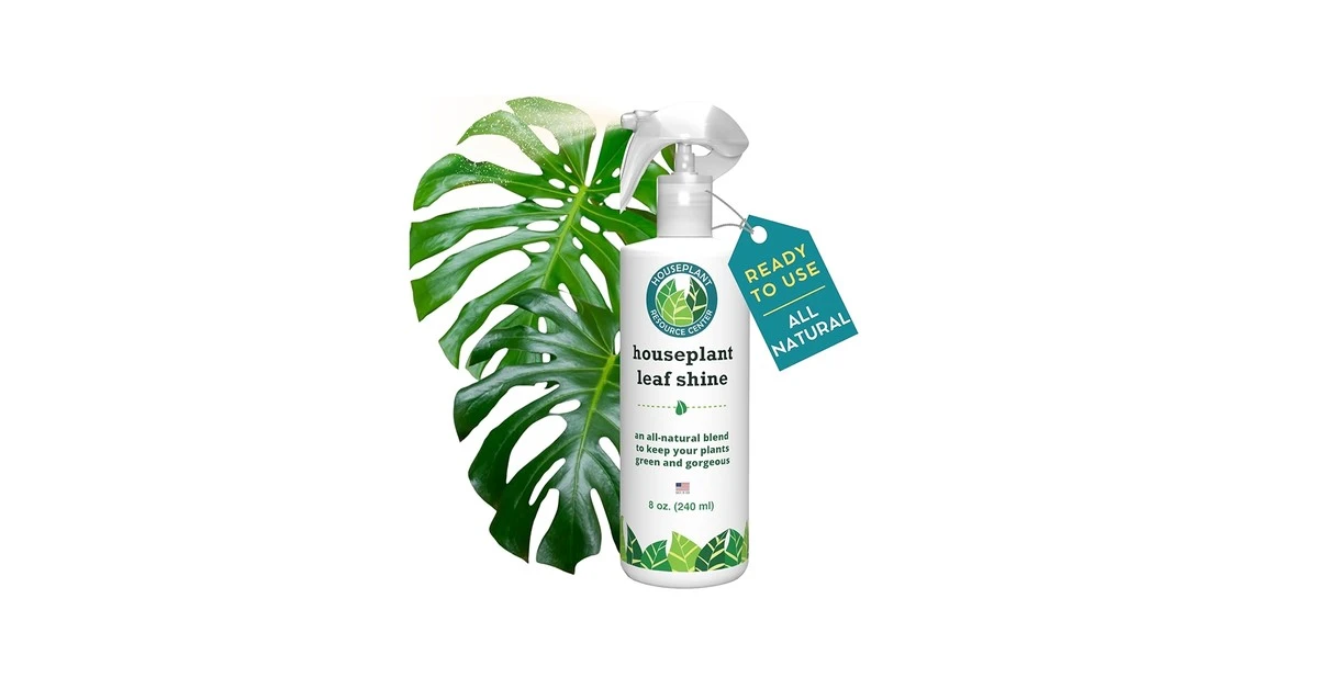 Bananenschillen als natuurlijke bladglans voor je planten - image 1