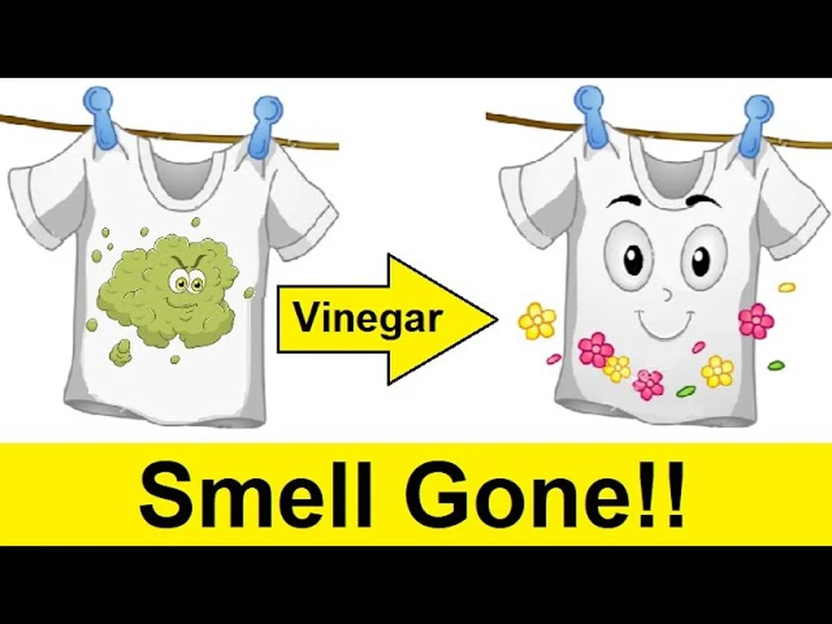 Azijn in je wasmachine: wat gebeurt er met je kleding? - image 2