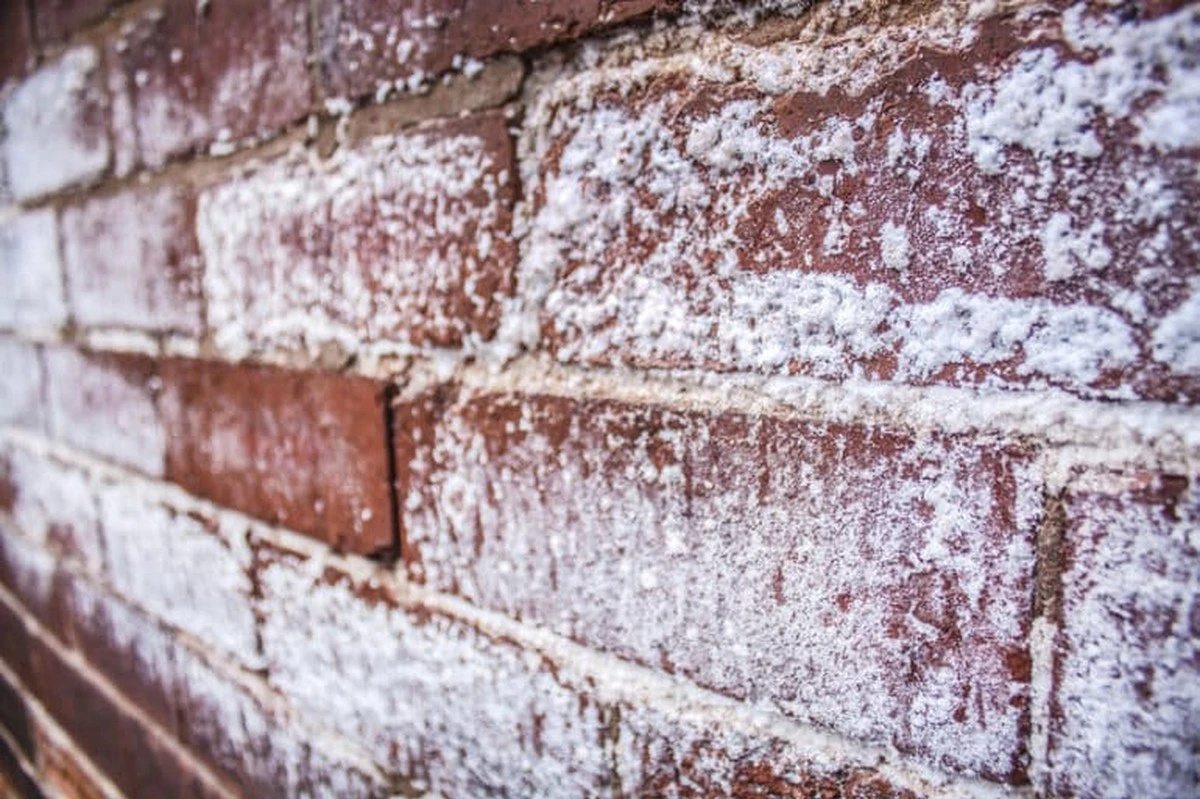 Zout op je vochtige muren? Dechemische oplossing die schilders kennen - image 2