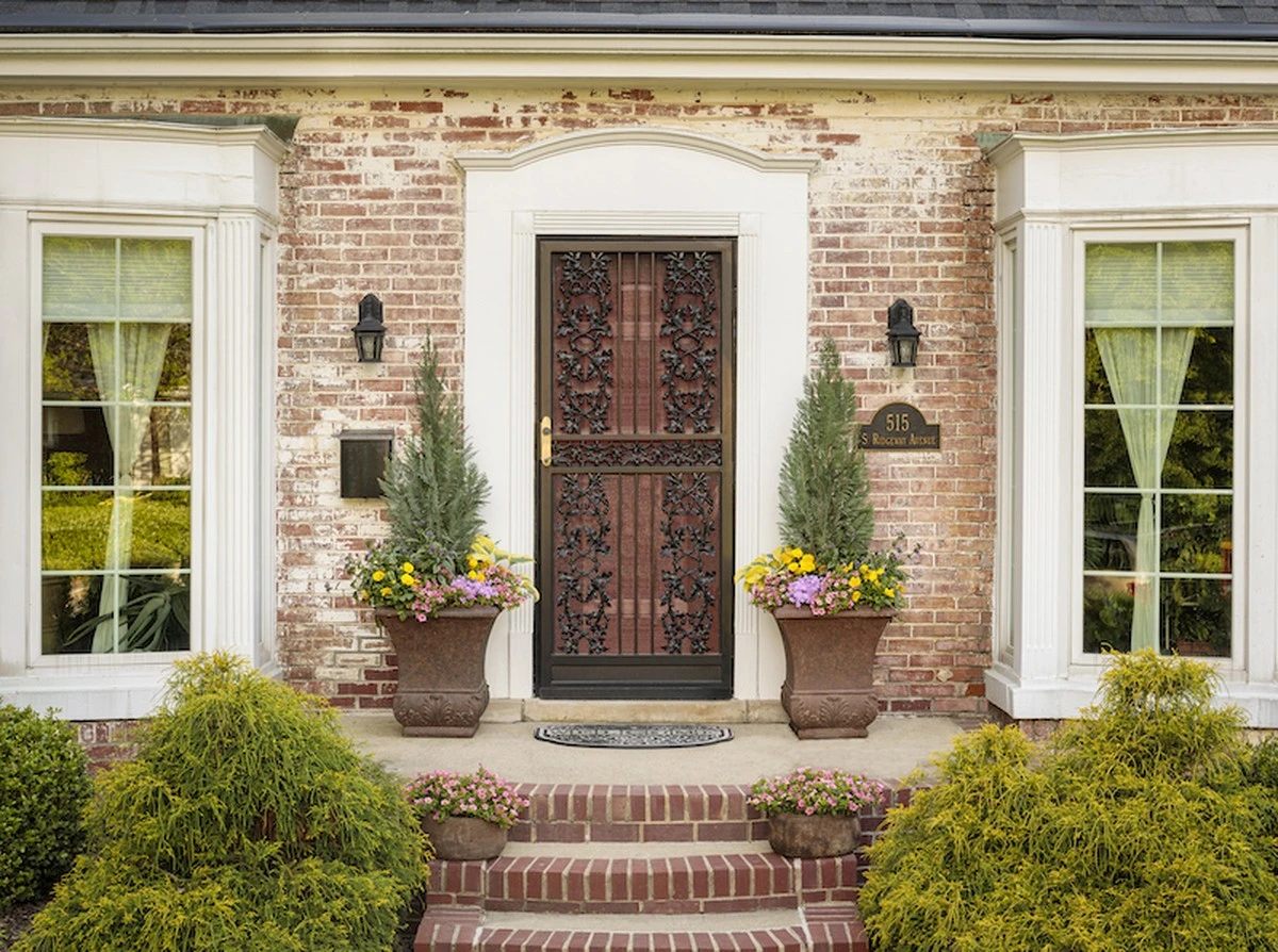 Papieren handdoek onder je cipres: het trucje tegen schimmel dat niemand kent