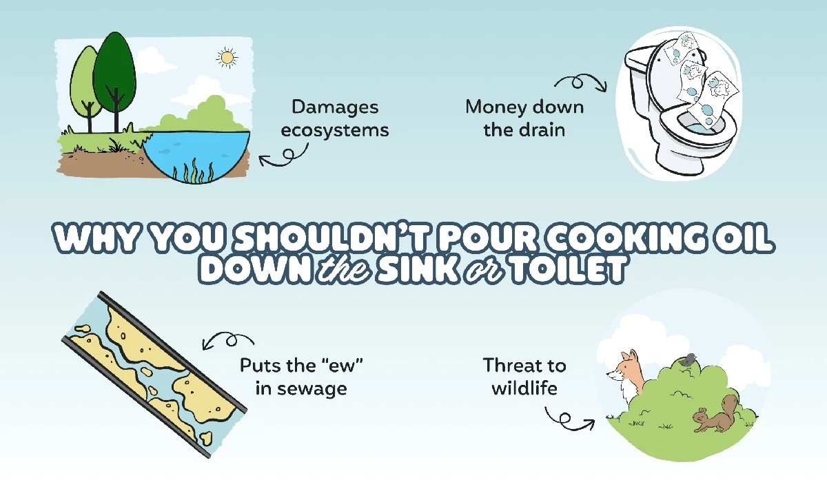 Loodgieters waarschuwen: gooi deze olie nooit door het toilet - image 2