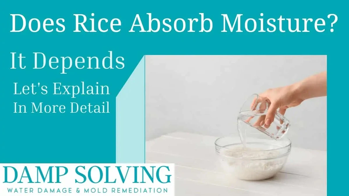 Droge rijst tegen vochtige zoutstrooier: de onzichtbare reddingsboei in je keuken