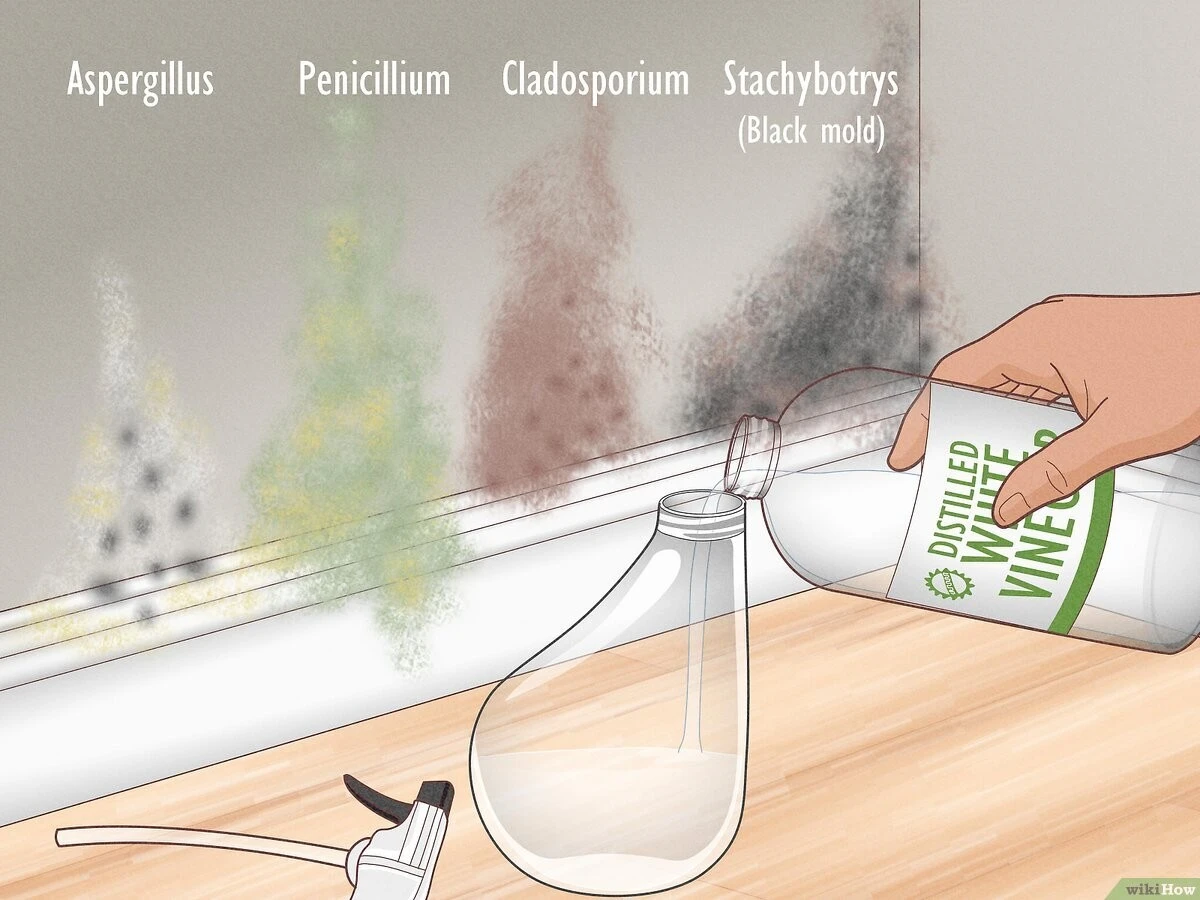 Zout en azijn op je tegel: waarom dit beter werkt dan dure schimmelspray - image 1