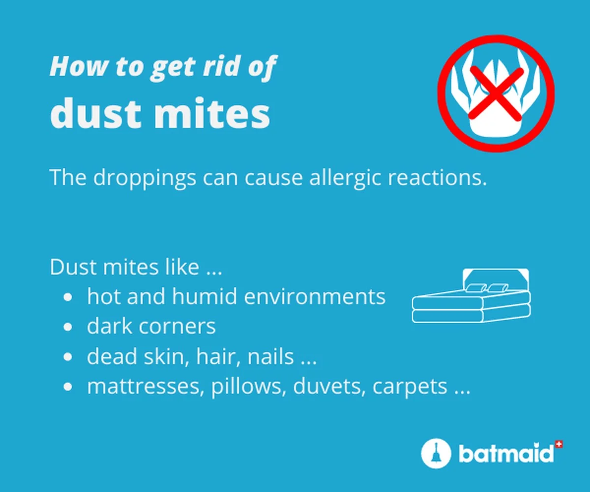 Bakingsoda op je matras: de onverwachte oplossing tegen huisstofmijt - image 1