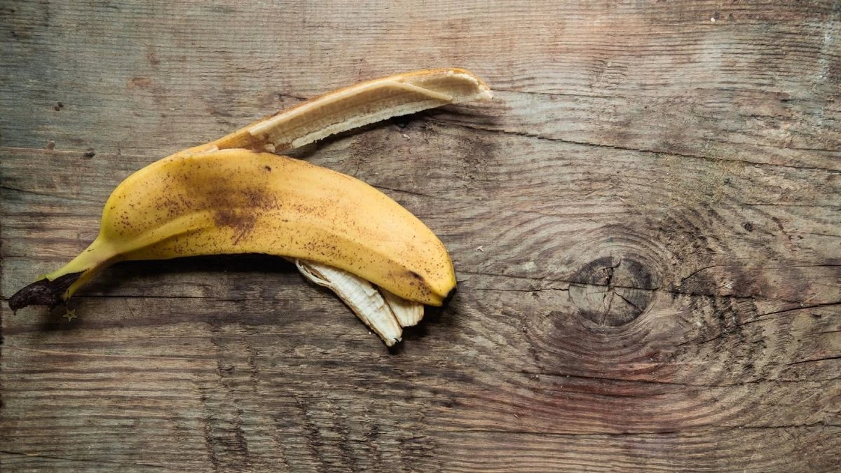 Bananenschillen op je planten: het geheim van tuinders tegen bruine bladeren - image 2