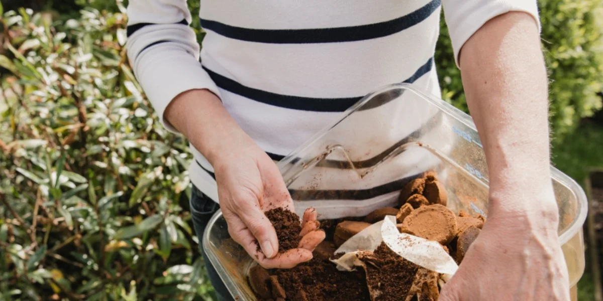 Koffiedik in je plantenpot: het geheim van tuinders - image 2