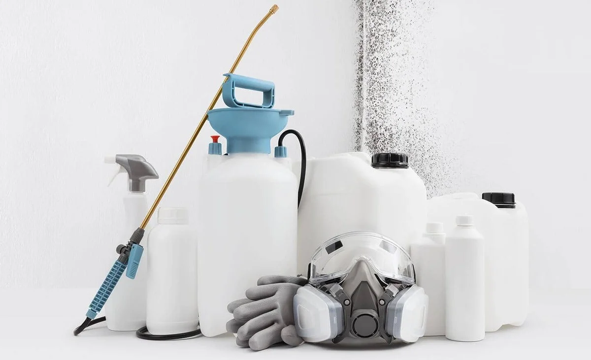 Oude tandenborstel tegen schimmel: waarom schoonmakers dit eerst proberen - image 1