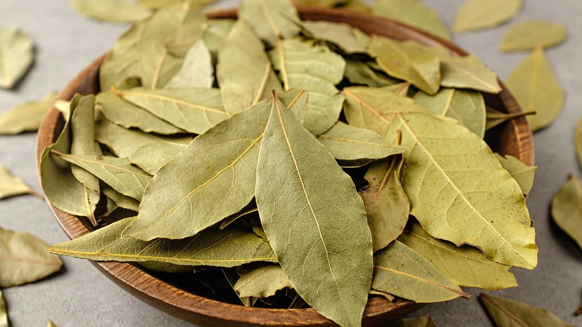 Een laurierblad in je bloem: het eeuwenoude geheim tegen voedselmotten