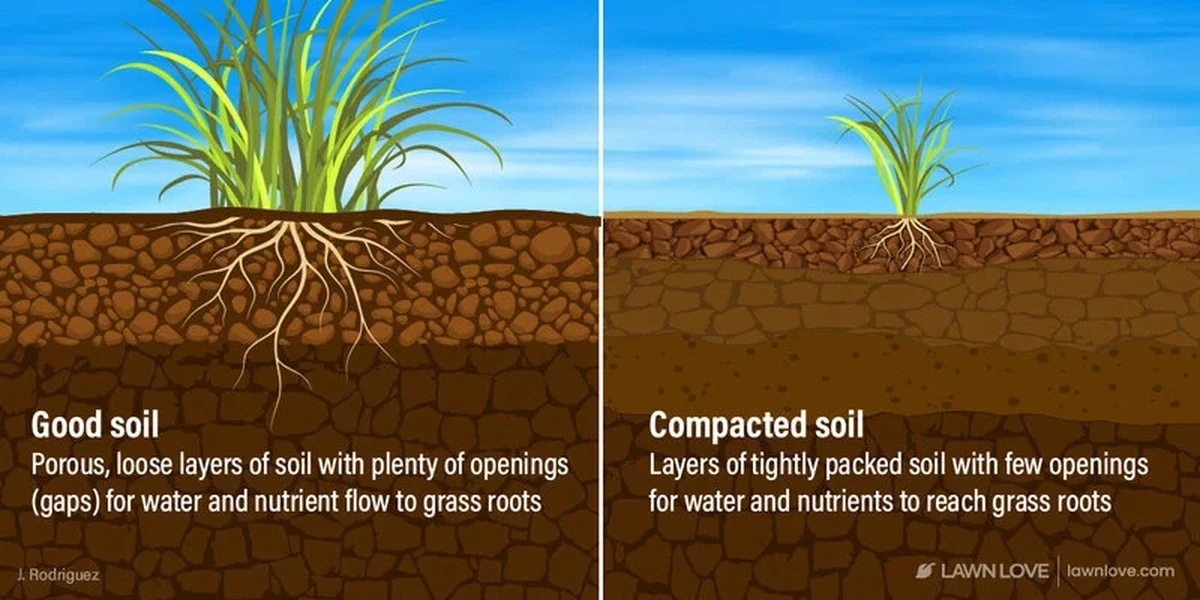 Tuinmannen onthullen: waarom je nooit op natte grond bezig moet zijn - image 2